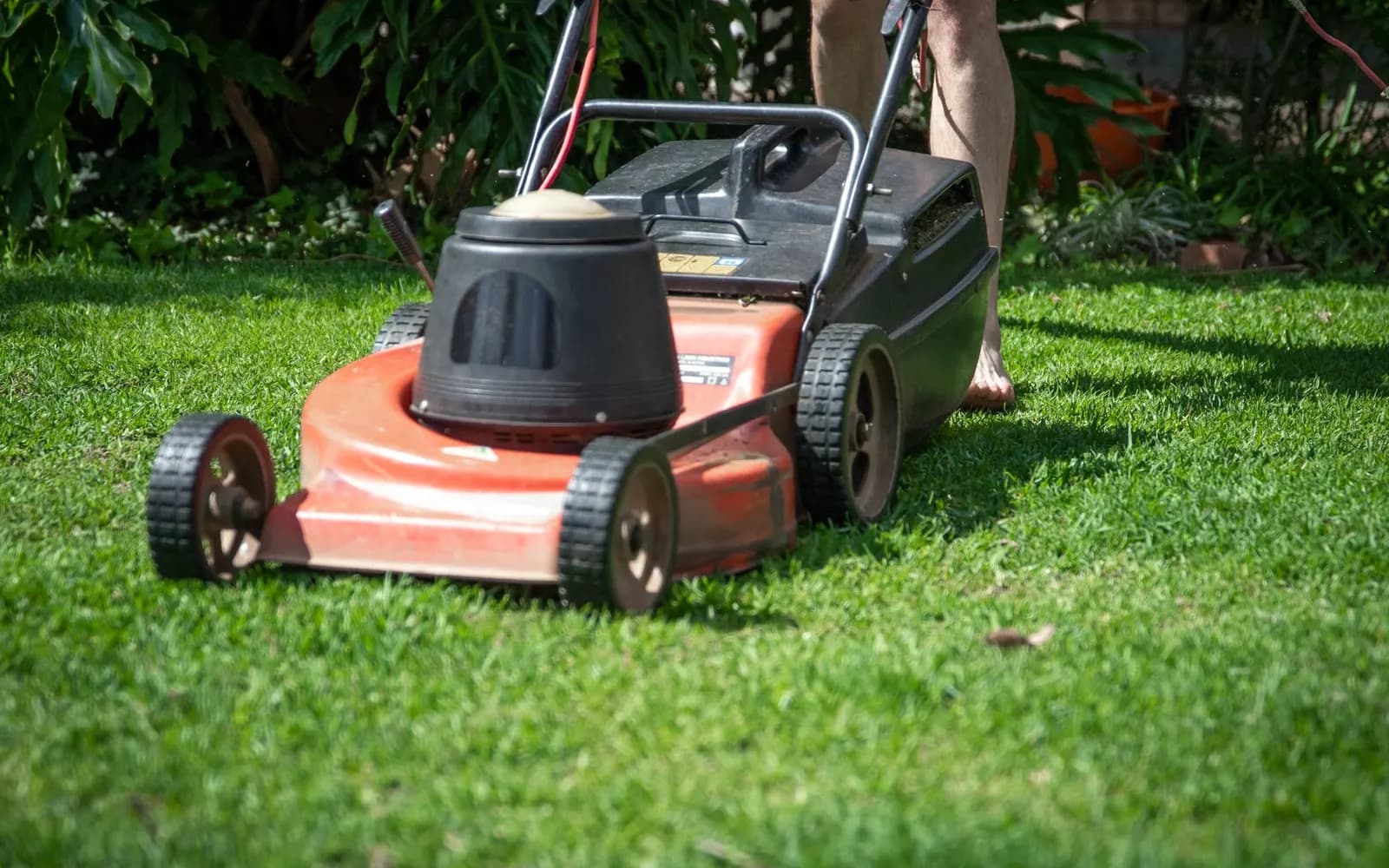 Lawn Mowing and Basic Yard Care service illustration